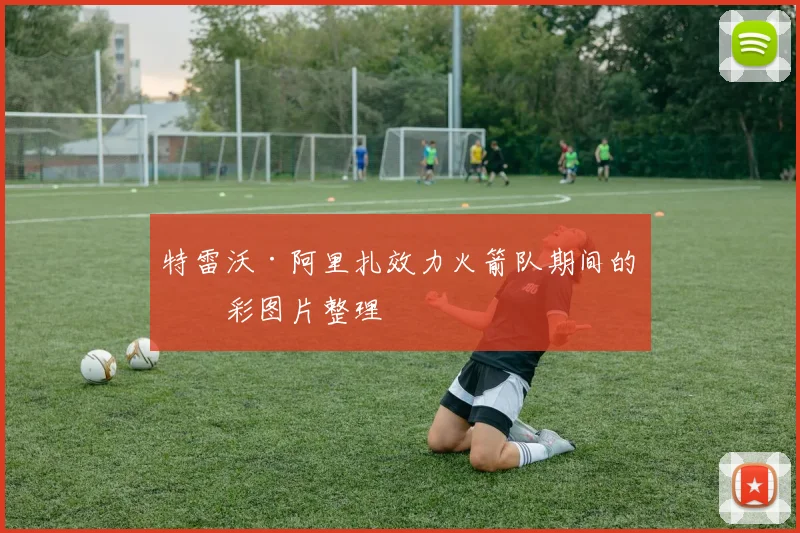 特雷沃·阿里扎效力火箭队期间的精彩图片整理