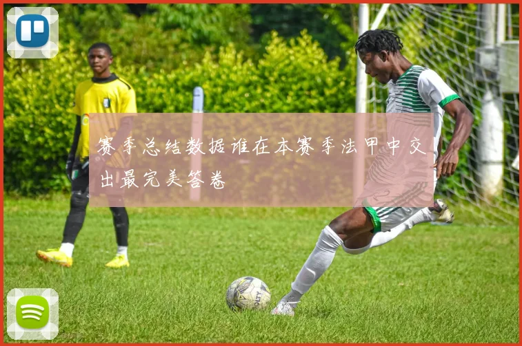 赛季总结数据谁在本赛季法甲中交出最完美答卷