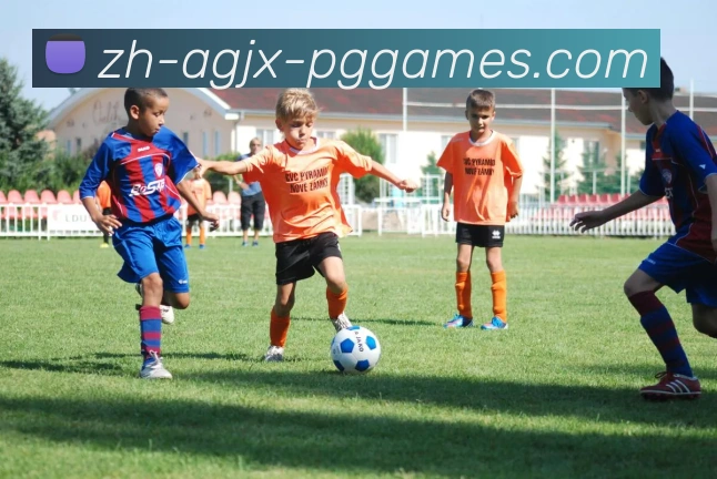 多媒体互动体验